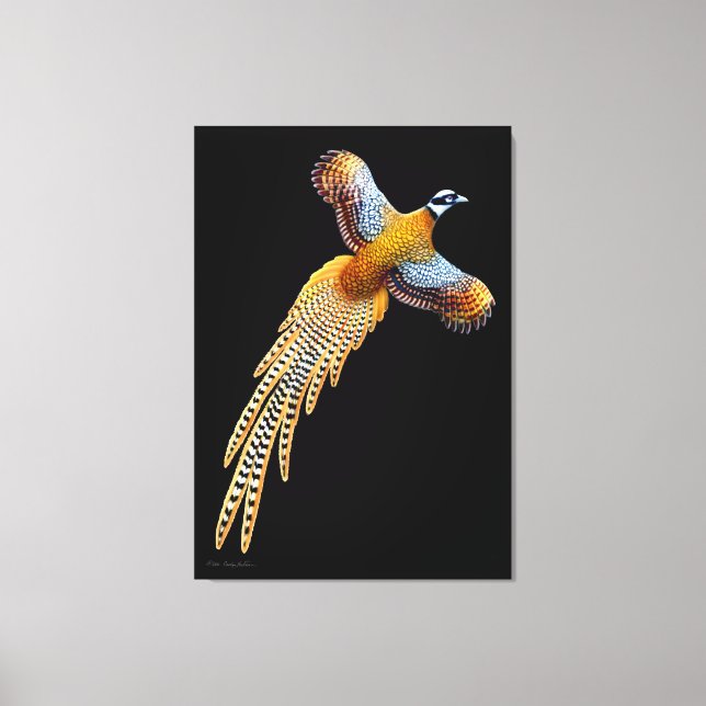 Flying Reeves Pheasant Wrapped Canvas Print (Front)