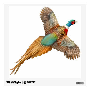 Flying Ringneck Pheasant Wall Decal