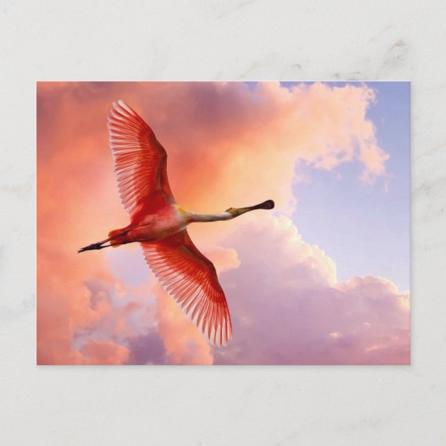 Flying Roseate spoonbill Postcard (Front)