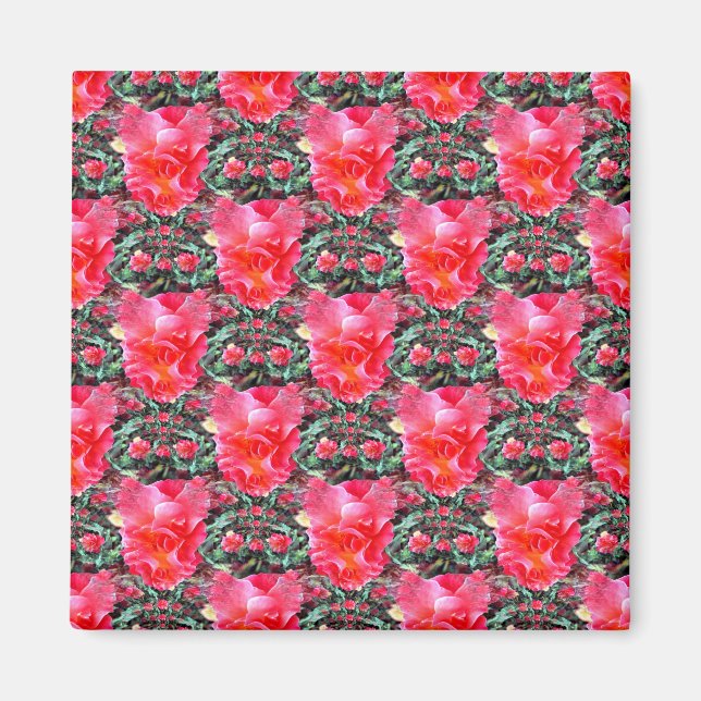 Flying Roses..... Magnet (Front)