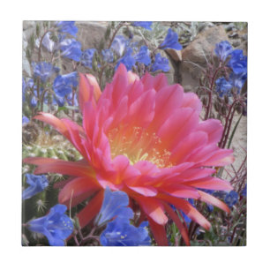 Flying Saucer Cactus Bloom Ceramic Tile
