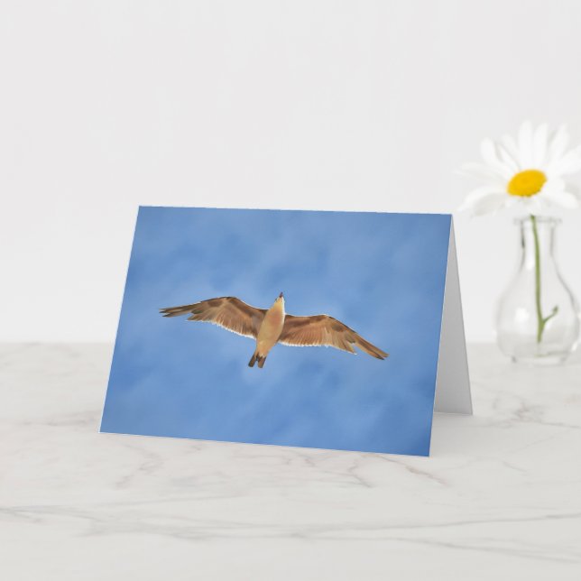 Flying Sea Gull Bird Art Note Card (Small Plant)