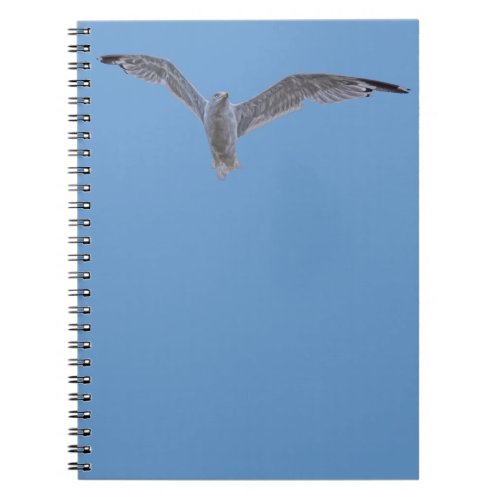 Flying Sea Gull  Blue Sky Notebook