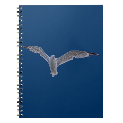 Flying Sea Gull  Blue Sky Notebook