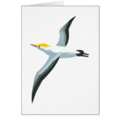 Flying Seagull (Front)