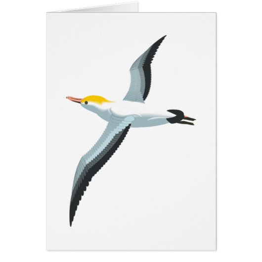 Flying Seagull (Front)