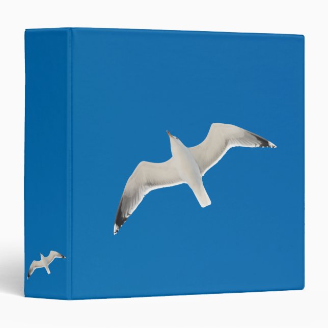 Flying seagull 3 ring binder (Front/Spine)