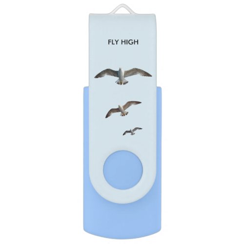 Flying seagull birds on light turquoise blue flash drive