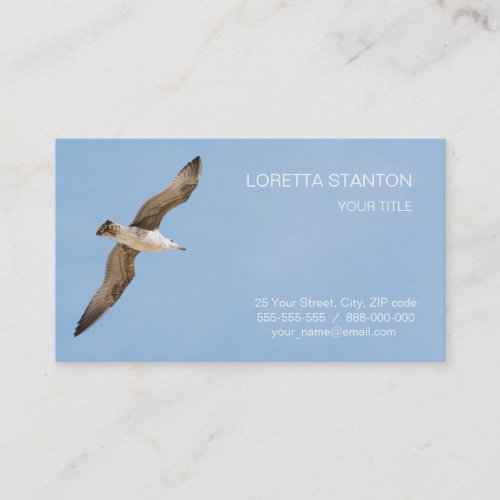 Flying seagull business card