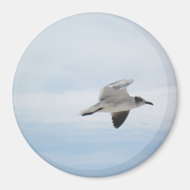 Flying Seagull Magnet (Front)