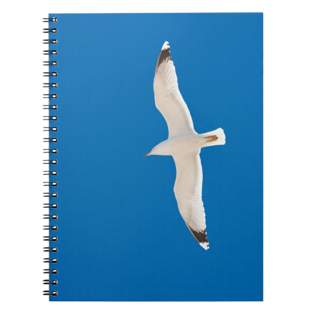 Flying seagull notebook (Front)