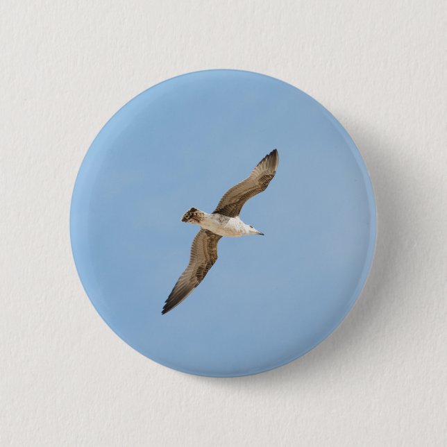 Flying seagull pinback button (Front)