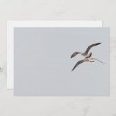 Flying seagulls (Front/Back)