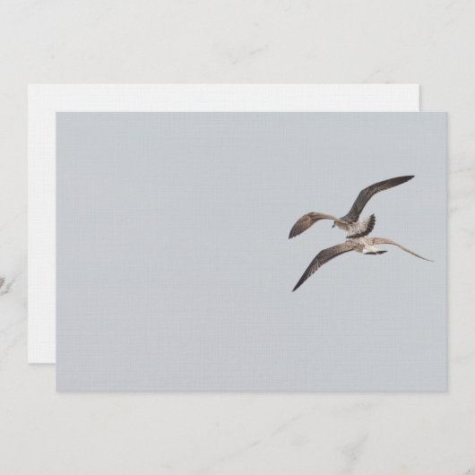 Flying seagulls (Front/Back)