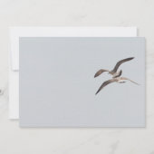 Flying seagulls (Front)