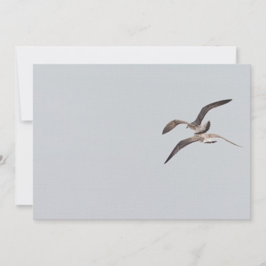 Flying seagulls (Front)