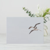 Flying seagulls (Standing Front)