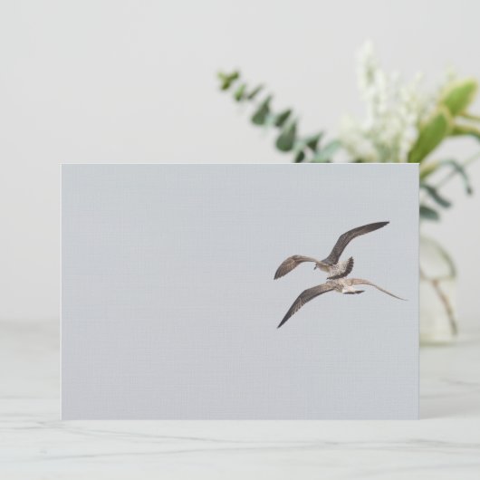 Flying seagulls (Standing Front)