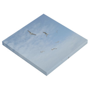 Flying Seagulls 12" x 12" Gallery Wrap