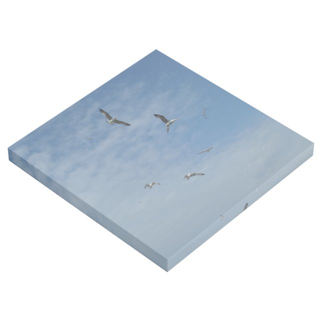 Flying Seagulls 12" x 12" Gallery Wrap (3/4)