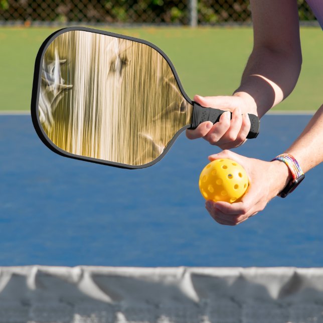 Flying seagulls - abstract pickleball paddle (Insitu)