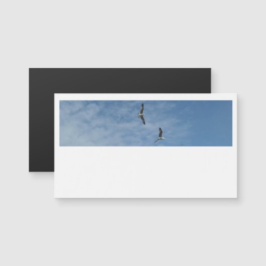 Flying Seagulls Business Cards (Front/Back)