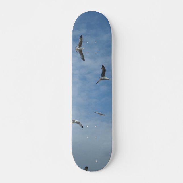 Flying Seagulls Skateboard Deck (Front)