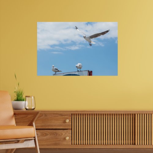 Flying Sitting Seagulls Birds Blue Sky Poster
