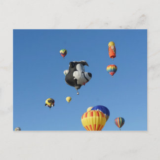 Flying Skunk Postcard