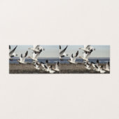 Flying Snow Geese (Outside Unfolded)
