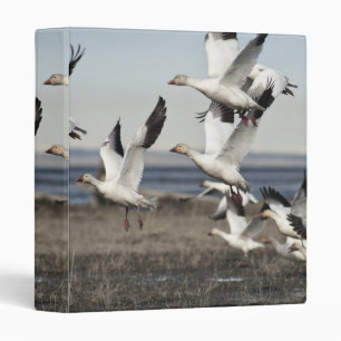 Flying Snow Geese 3 Ring Binder