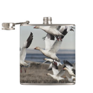 Flying Snow Geese Flask