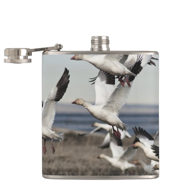 Flying Snow Geese Flask (Opened)
