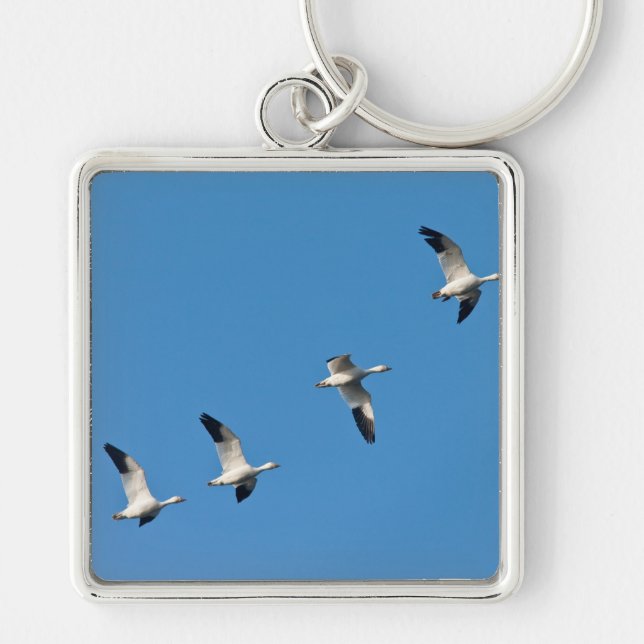 Flying Snow Geese Keychain (Front)
