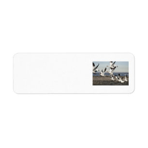 Flying Snow Geese Label