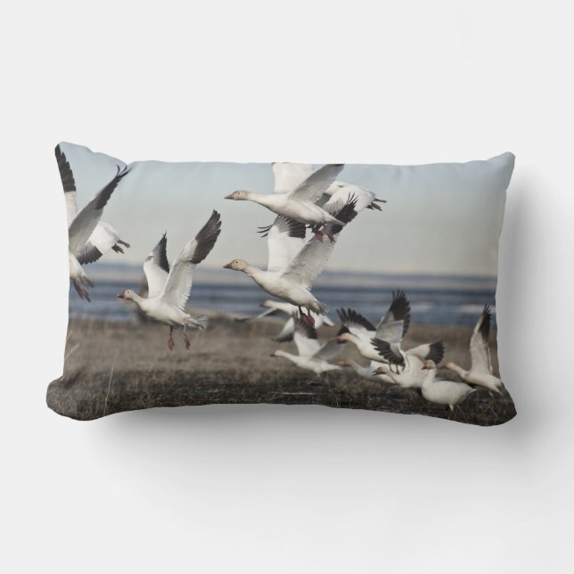 Flying Snow Geese Lumbar Pillow (Front)