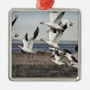 Flying Snow Geese Metal Ornament