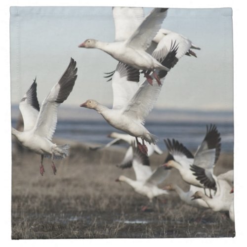 Flying Snow Geese Napkin