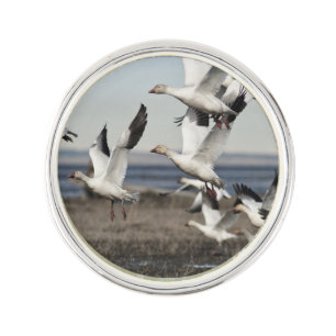 Flying Snow Geese Pin