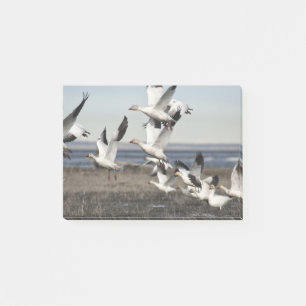 Flying Snow Geese Post-it Notes