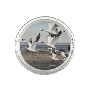 Flying Snow Geese Ring