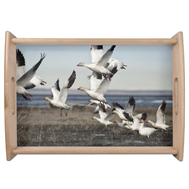 Flying Snow Geese Serving Tray (Front)