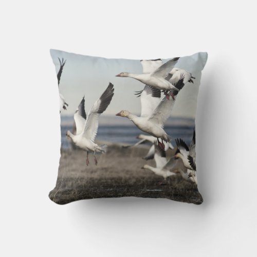 Flying Snow Geese Throw Pillow
