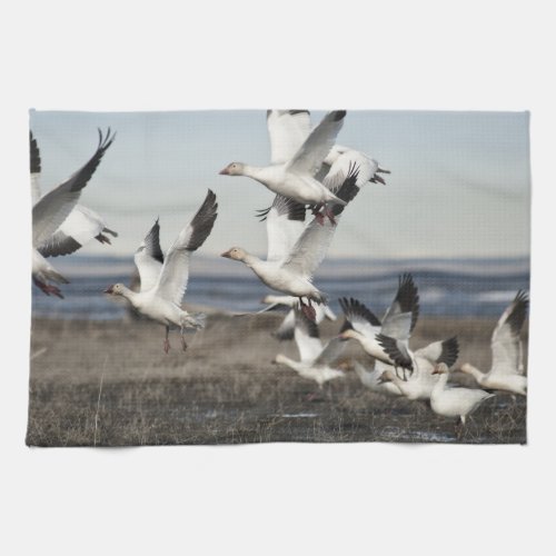 Flying Snow Geese Towel