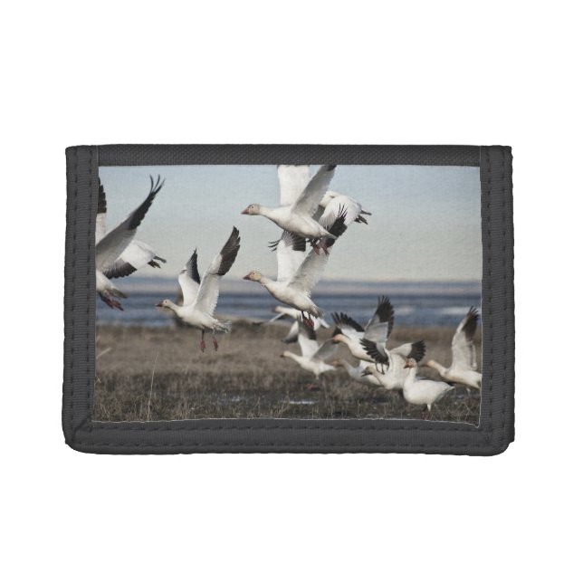 Flying Snow Geese Trifold Wallet (Front)