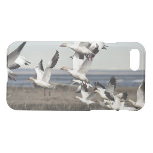 Flying Snow Geese iPhone SE/8/7 Case