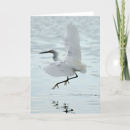 Flying Snowy Egret Card