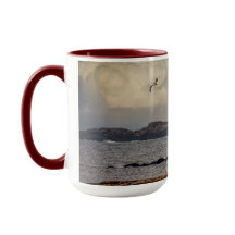 Flying Solo at Nubble Lighthouse