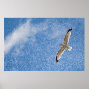 Flying Solo Seagull in the Sky Poster
