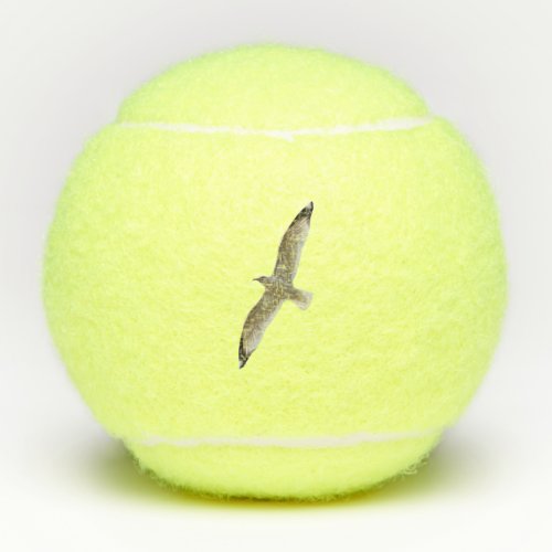 Flying Solo Seagull in the Sky Tennis Balls